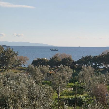 Mina'S Studios In Naxos Island Agios Prokopios  Zewnętrze zdjęcie