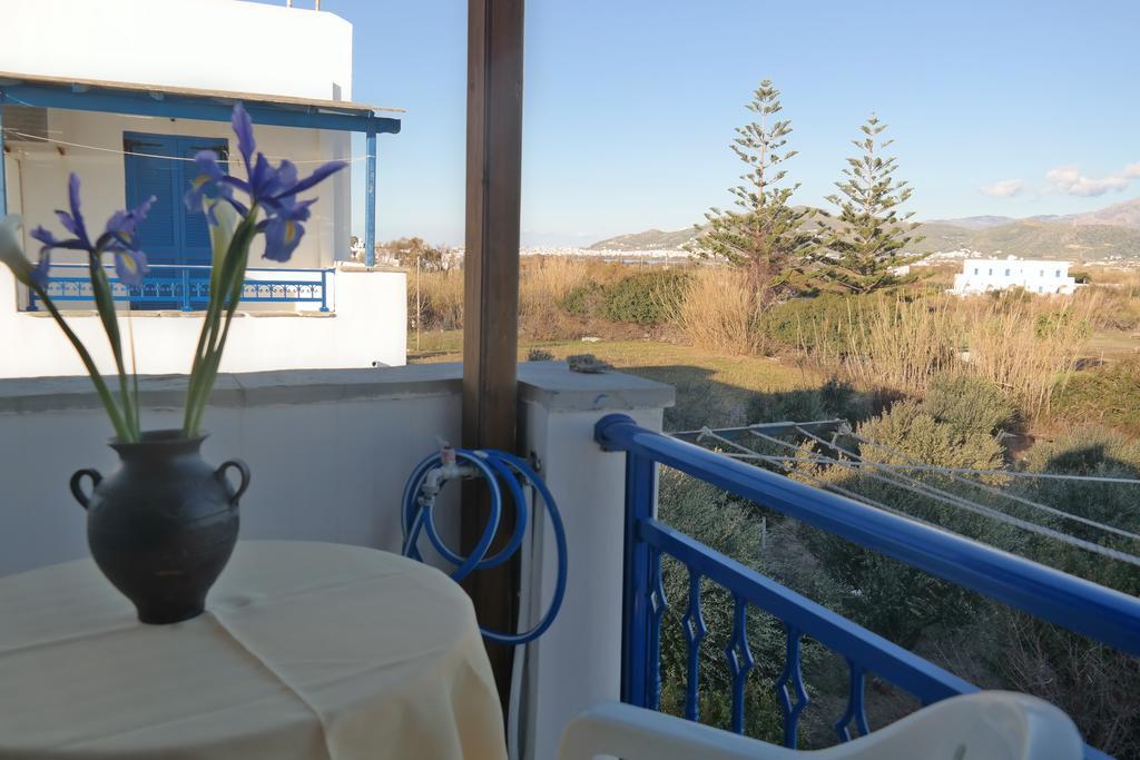 Mina'S Studios In Naxos Island Agios Prokopios  Pokój zdjęcie